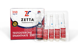 Testosterone Enanthate 250 (ZETTA) 1ml